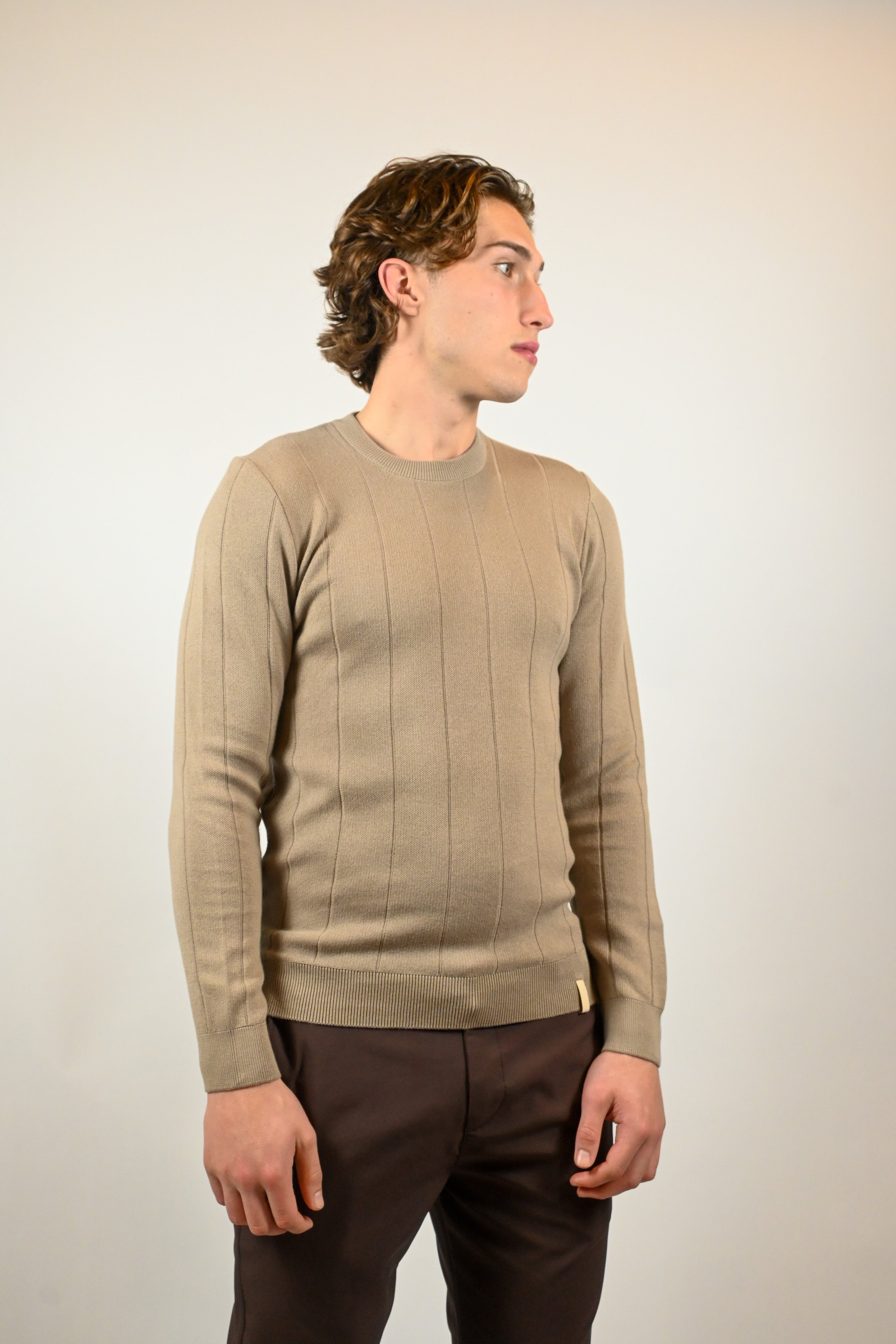 Heren Trui Gestreept Classic | Taupe
