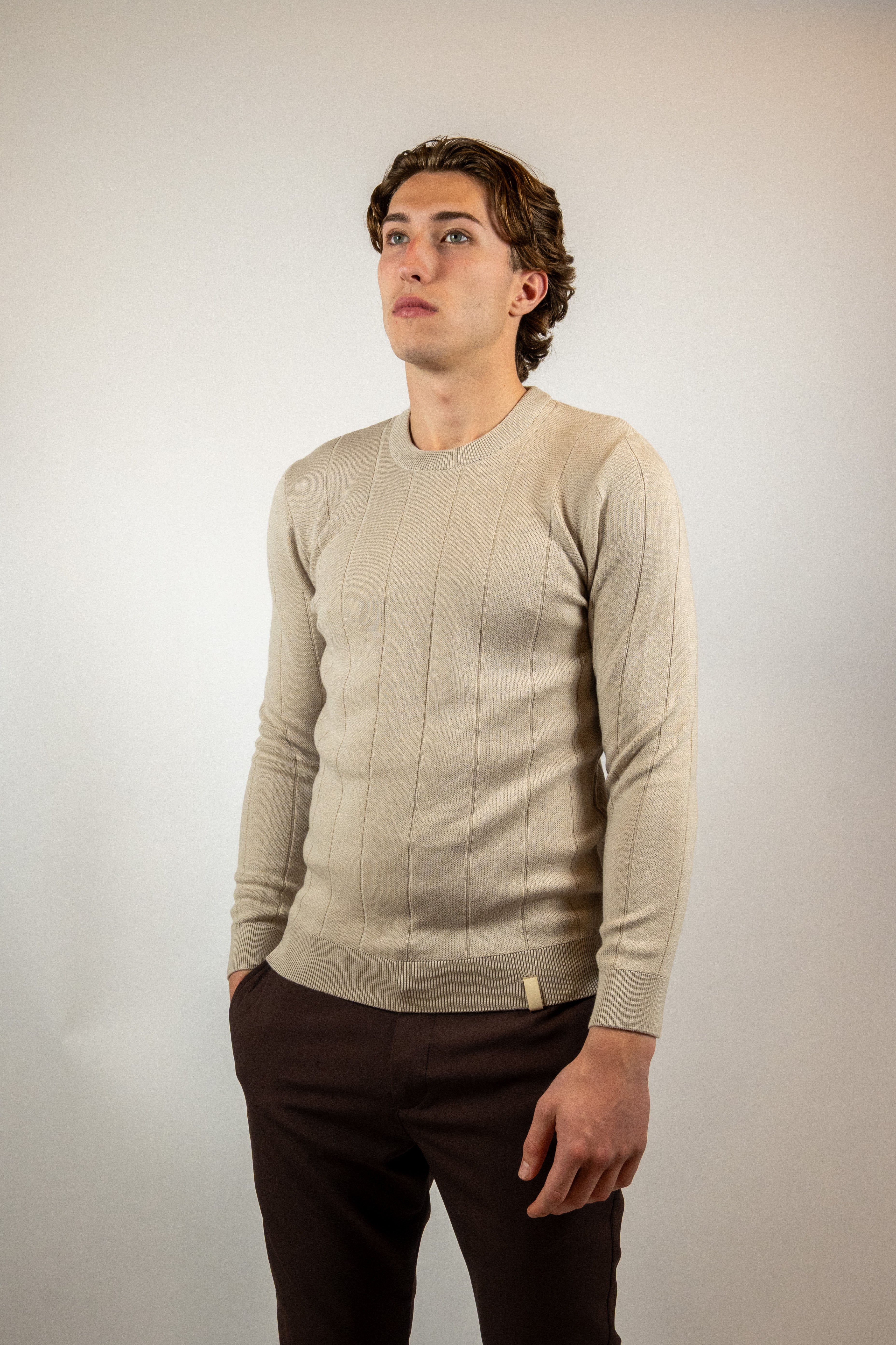 Heren Trui Gestreept Classic | Beige