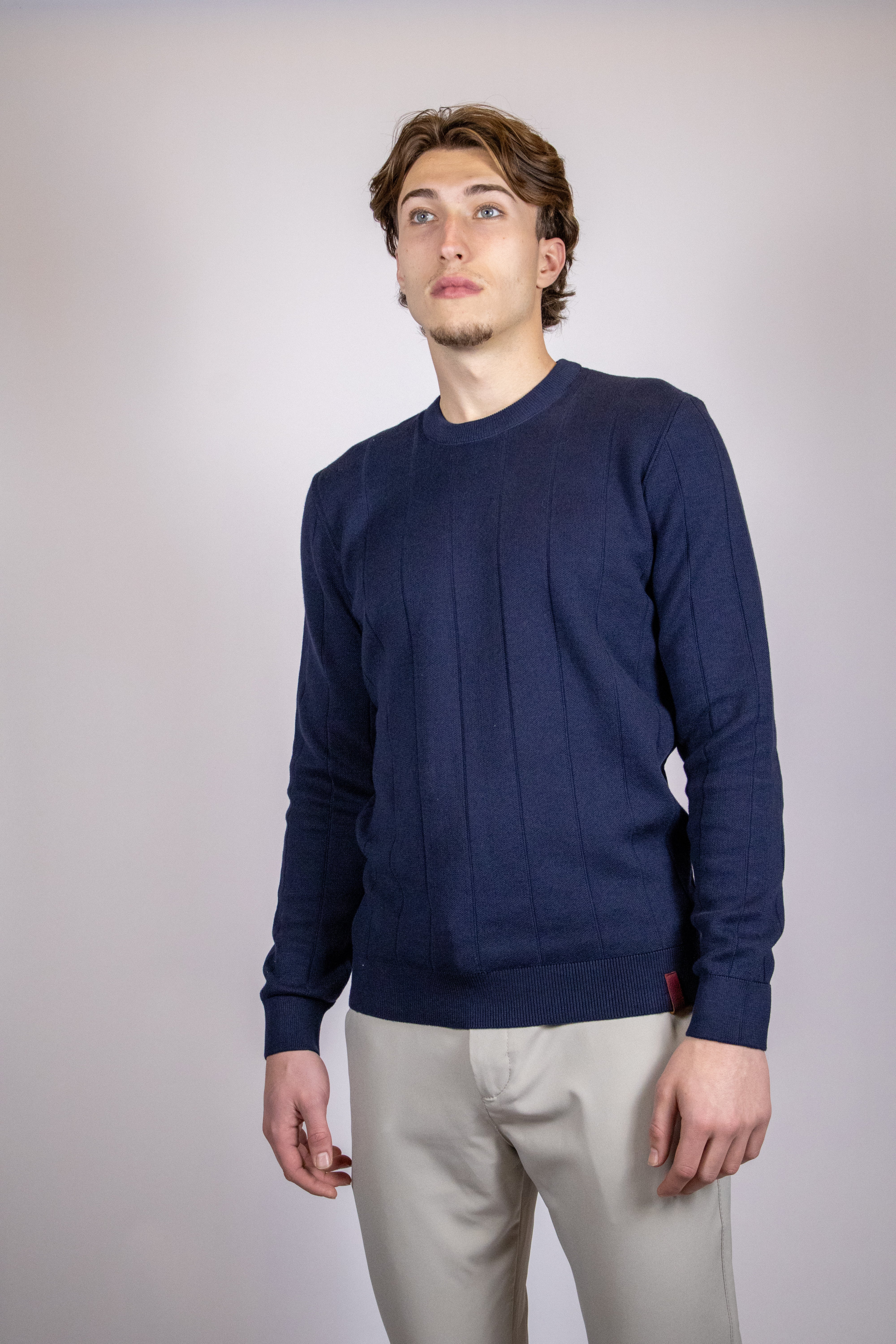 Heren Trui Gestreept Classic | Blauw